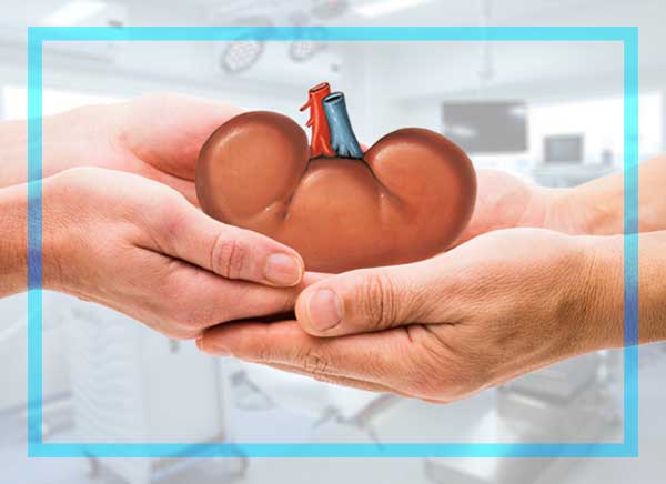 Renal transplant Bangalore